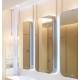 Meuble Supermiroir AS comprenant Savon et sèche mains éléctr + miroir.