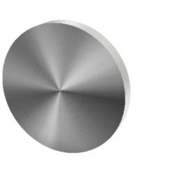 Paire de rosaces pleines D:53 mm série Project,finition inox brossé 304