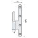 1/2 Paumelle EXS 1.61-M, 140*70 bouts ronds. Mâle droite inox brossé