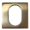 Rosace extérieure carré 65x65 protecteur de cylindre A2P**, laiton mat