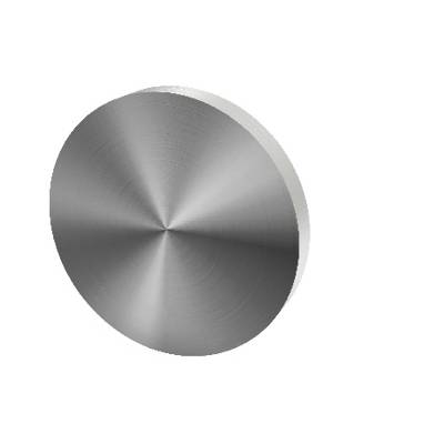 Paire de rosaces pleines D:53 mm série Project,finition  inox brossé 304