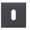 Paire de rosaces carrées clé L (CC6), graphite mat